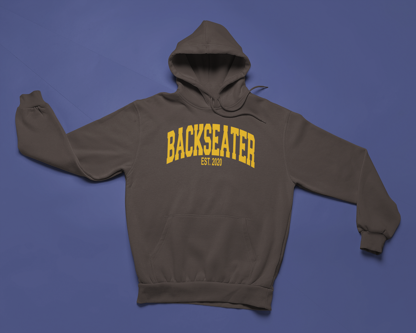 Backseater Hoodie