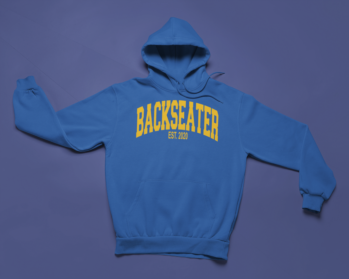 Backseater Hoodie