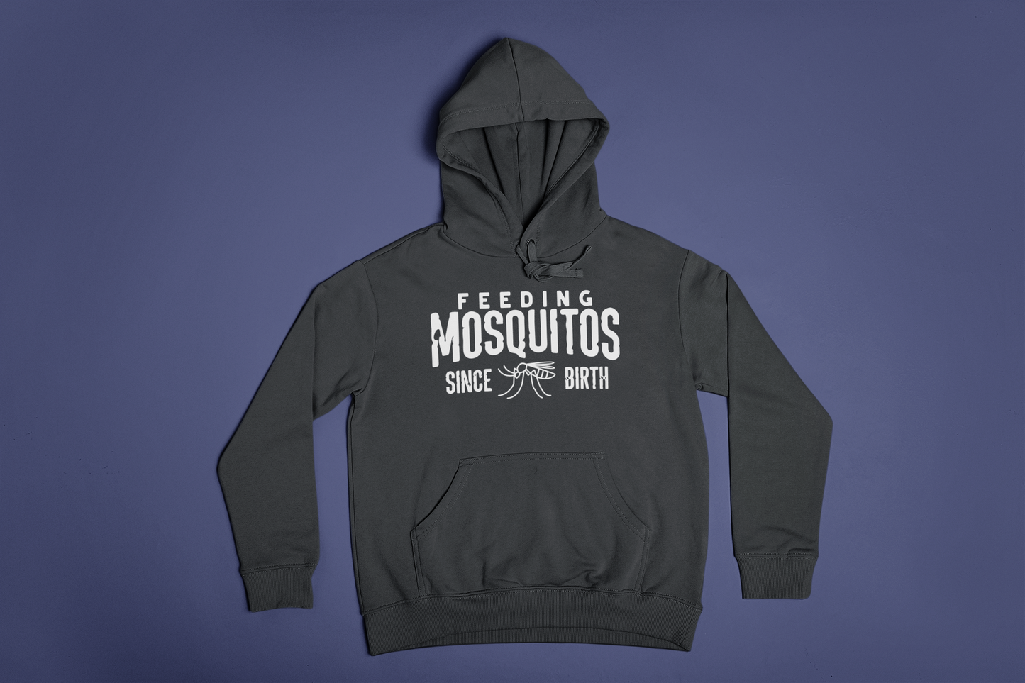Feeding Mosquitos Since Birth Hoodie