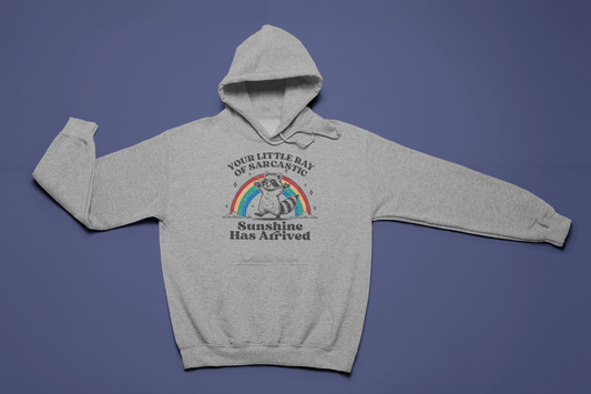 Chaos & Rainbows Hoodie